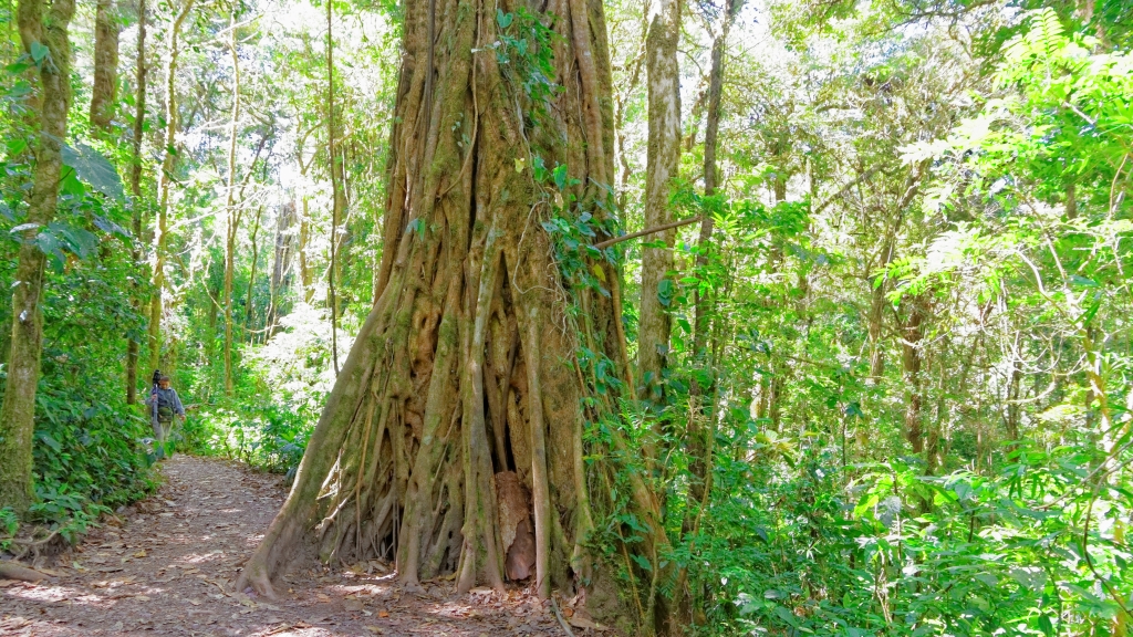 07 - Monterverde (04).jpg